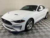 Thumbnail of 2019 Oxford White Ford Mustang