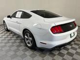 Thumbnail of 2019 Oxford White Ford Mustang