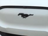 Thumbnail of 2025 Star White Ford Mustang Mach-E