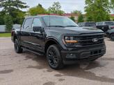 Thumbnail of 2025 Agate Black Metallic Ford F-150