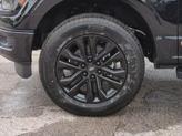 Thumbnail of 2025 Agate Black Metallic Ford F-150