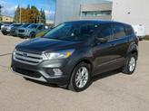 Thumbnail of 2019 Magnetic Metallic Ford Escape