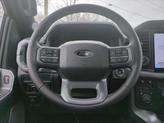 Thumbnail of 2025 Iconic Silver Metallic Ford F-150