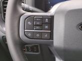 Thumbnail of 2025 Agate Black Metallic Ford F-150