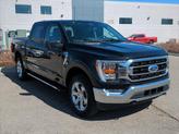Thumbnail of 2023 Agate Black Metallic Ford F-150