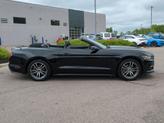 Thumbnail of 2017 Shadow Black Ford Mustang