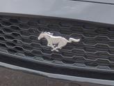 Thumbnail of 2017 Shadow Black Ford Mustang
