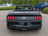 Thumbnail of 2017 Shadow Black Ford Mustang