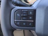 Thumbnail of 2025 Antimatter Blue Metallic Ford F-150