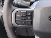 Thumbnail of 2025 Carbonized Gray Metallic Ford F-150