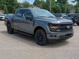 Thumbnail of 2025 Carbonized Gray Metallic Ford F-150