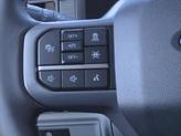 Thumbnail of 2025 Agate Black Metallic Ford F-150