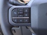 Thumbnail of 2025 Carbonized Gray Metallic Ford F-150