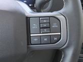Thumbnail of 2025 Carbonized Gray Metallic Ford F-150