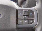 Thumbnail of 2025 Agate Black Metallic Ford F-150
