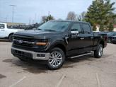 Photo of 2025 Agate Black Metallic Ford F-150