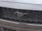 Thumbnail of 2025 Shadow Black Ford Mustang