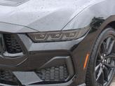 Thumbnail of 2025 Shadow Black Ford Mustang