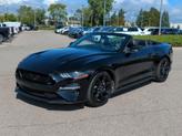 Thumbnail of 2018 Shadow Black Ford Mustang