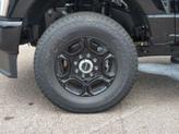 Thumbnail of 2025 Agate Black Metallic Ford F-250