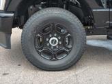 Thumbnail of 2025 Agate Black Metallic Ford F-250