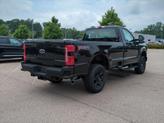 Thumbnail of 2025 Agate Black Metallic Ford F-250
