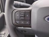 Thumbnail of 2025 Agate Black Metallic Ford F-250