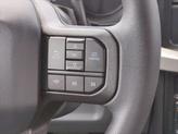Thumbnail of 2025 Agate Black Metallic Ford F-250