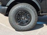 Thumbnail of 2025 Shadow Black Ford Bronco