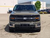 Thumbnail of 2025 Gray Ford F-150