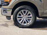 Thumbnail of 2025 Gray Ford F-150