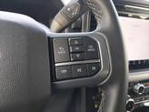 Thumbnail of 2025 Gray Ford F-150