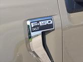 Thumbnail of 2025 Gray Ford F-150