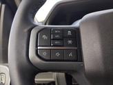 Thumbnail of 2025 Gray Ford F-150