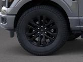 Thumbnail of 2025 Carbonized Gray Metallic Ford F-150