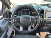 Thumbnail of 2020 Magnetic Ford F-150