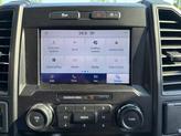 Thumbnail of 2020 Magnetic Ford F-150
