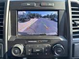 Thumbnail of 2020 Magnetic Ford F-150