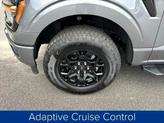 Thumbnail of 2024 Gray Ford F-150