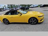 Thumbnail of 2024 Yellow Ford Mustang