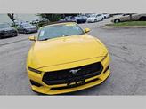 Thumbnail of 2024 Yellow Ford Mustang