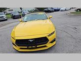 Thumbnail of 2024 Yellow Ford Mustang