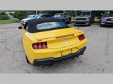 Thumbnail of 2024 Yellow Ford Mustang