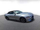 Thumbnail of 2023 Iconic Silver Metallic Ford Mustang