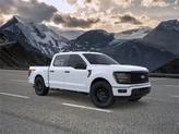 Thumbnail of 2025 Oxford White Ford F-150