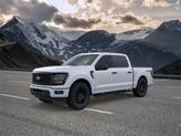 Photo of 2025 Oxford White Ford F-150