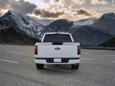 Thumbnail of 2025 Oxford White Ford F-150