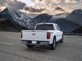 Thumbnail of 2024 Oxford White Ford F-150