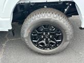 Thumbnail of 2025 Space Gray Ford F-150
