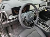 Thumbnail of 2025 Panthera Metal Kia Sorento